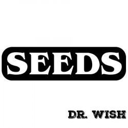 Dr. Wish系列